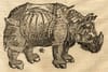 AI ... and the rhinoceros in the room redux