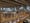Libraries and library studies